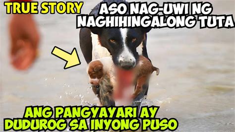 nag pa iyot sa aso|nag.